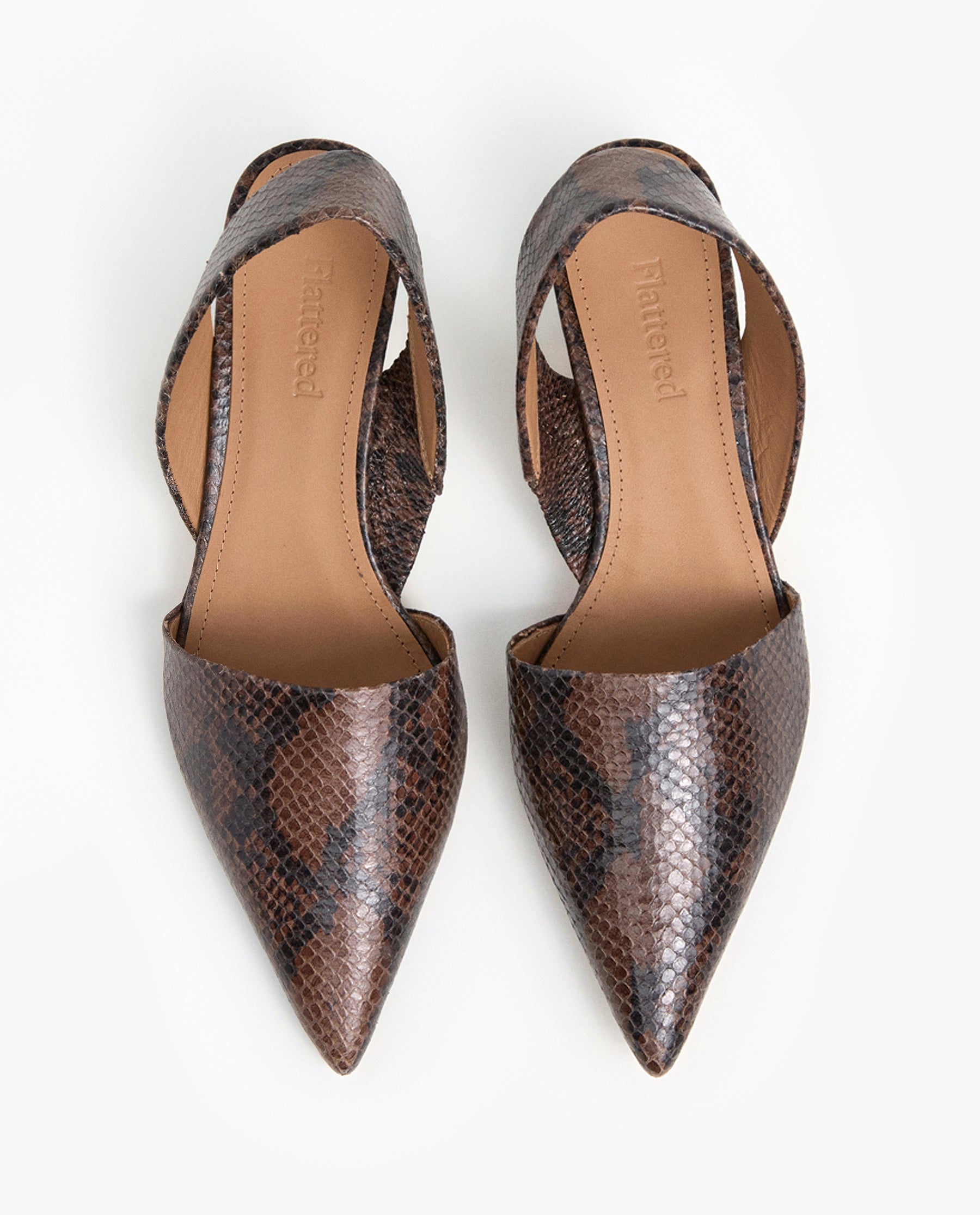 Ninni Leather Chocolate Snake